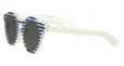 Leonard 2 Round Acetate Frame Sunglasses with Blue Stripes