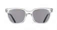 Acetate WayFarer Frame Sunglasses