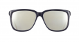 Acetate WayFarer Frame with Metalic Arms Sunglasses