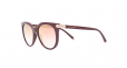 DOLCE & GABBANA EYEWEAR round-frame sunglasses